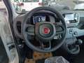 Fiat Panda 1.0 FireFly S&S Hybrid Bianco - thumbnail 12