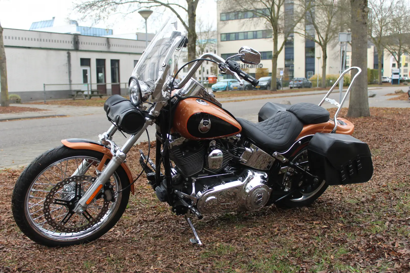 Harley-Davidson Softail FXST-C Softail-Custom Bruin - 2