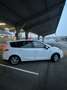 Renault Scenic 1.5tdi Weiß - thumbnail 8