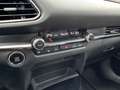 Mazda CX-30 2.0 M-Hybrid Selection/Allrad/Kam/Navi/LED siva - thumbnail 16
