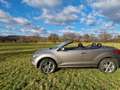 Nissan Murano 3.5 CVT CrossCabrio Cabrio SOMMERANGEBOT Stříbrná - thumbnail 14