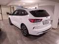 Ford Kuga ST-Line 2.5 Duratec PHEV 165kW Auto 225CV Blanc - thumbnail 5
