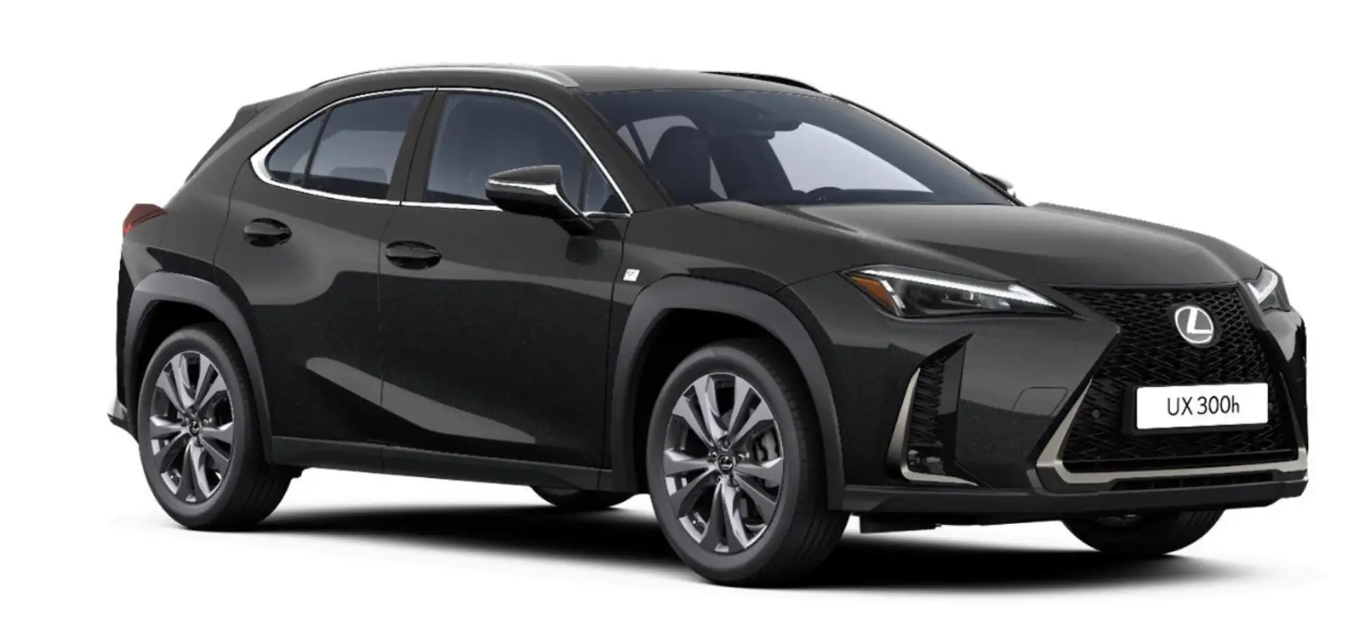 Lexus UX 300h F Sport Design Klima Kamera Sitzhzg Schwarz - 1
