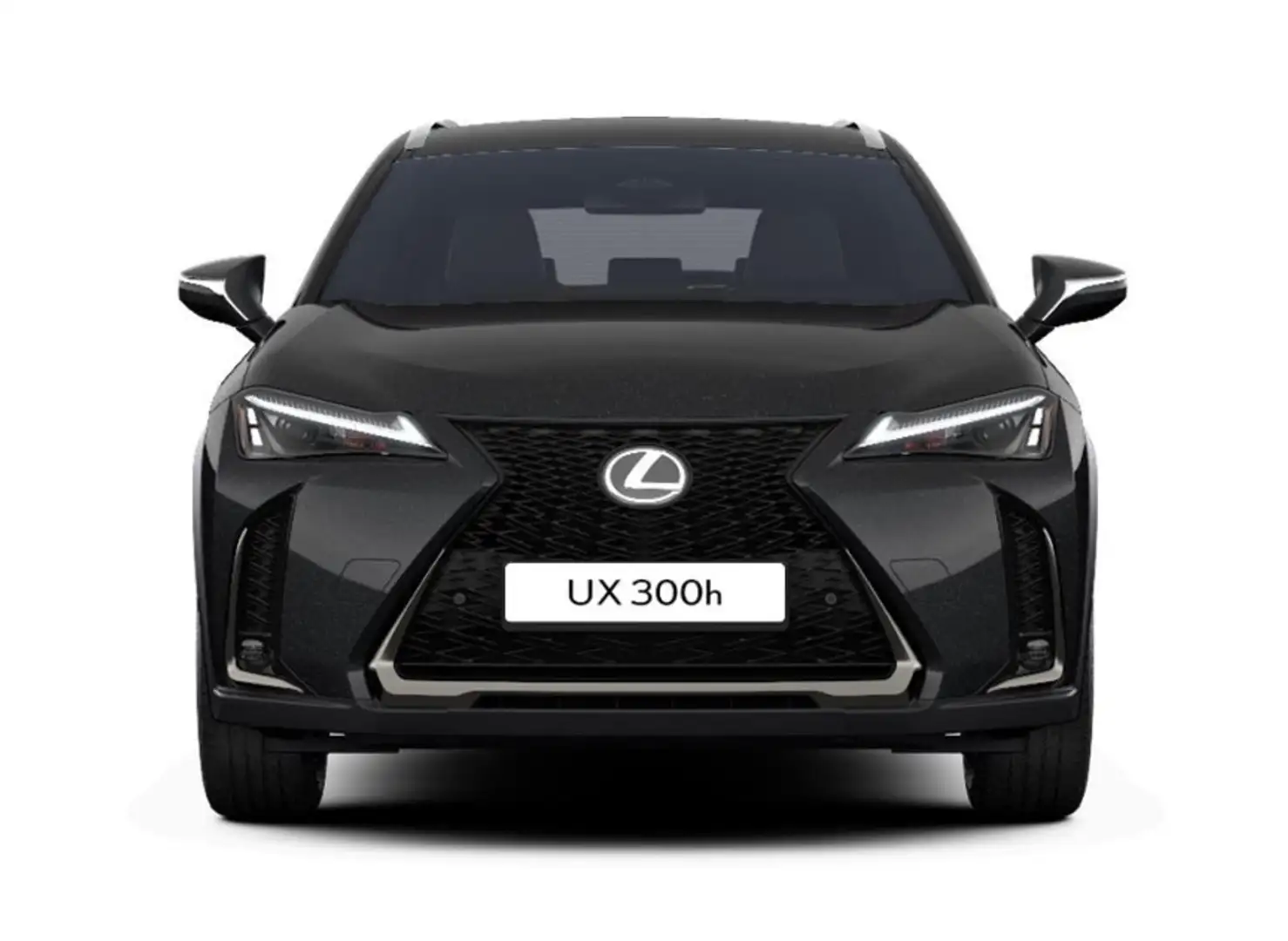 Lexus UX 300h F Sport Design Klima Kamera Sitzhzg Schwarz - 2