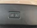 Audi SQ5 Sportback 3.0 TDI quattro,HUD,DCC,PANO,B&O Beige - thumbnail 12