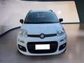 Fiat Panda Panda 0.9 t.air t. natural power Young 80cv Blanc - thumbnail 2