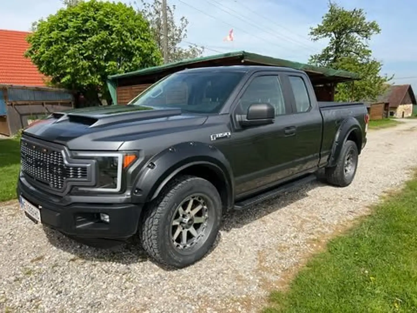 Ford F 150 ECCO Boost Grau - 1