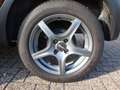 Dacia Sandero II Stepway Celebration Braun - thumbnail 16