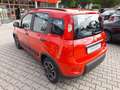 Fiat Panda City Life 1.0 GSE Hybrid Winter-Paket uvm. Rot - thumbnail 2