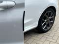 Ford Fiesta 1.0 Hybrid ST-Line X | LED Matrix | Winter Pack | Wit - thumbnail 9
