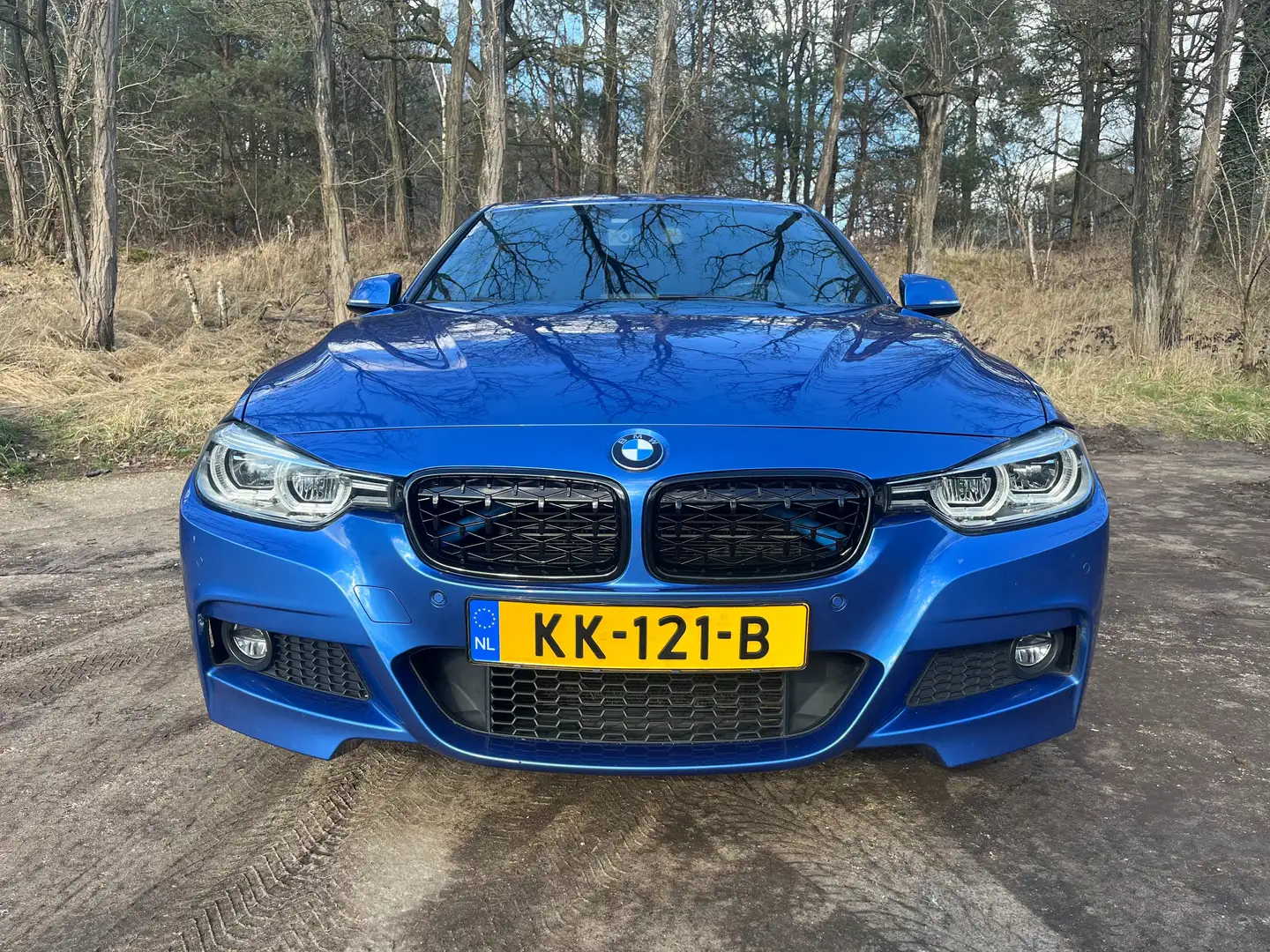 BMW 330 330E iPerfomance Blauw - 2