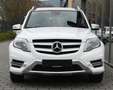 Mercedes-Benz GLK 220 CDI 4MATIC 7G-Tr. AMG *AHK*PANO*KAMERA*MB-SCHECKH. Weiß - thumbnail 8