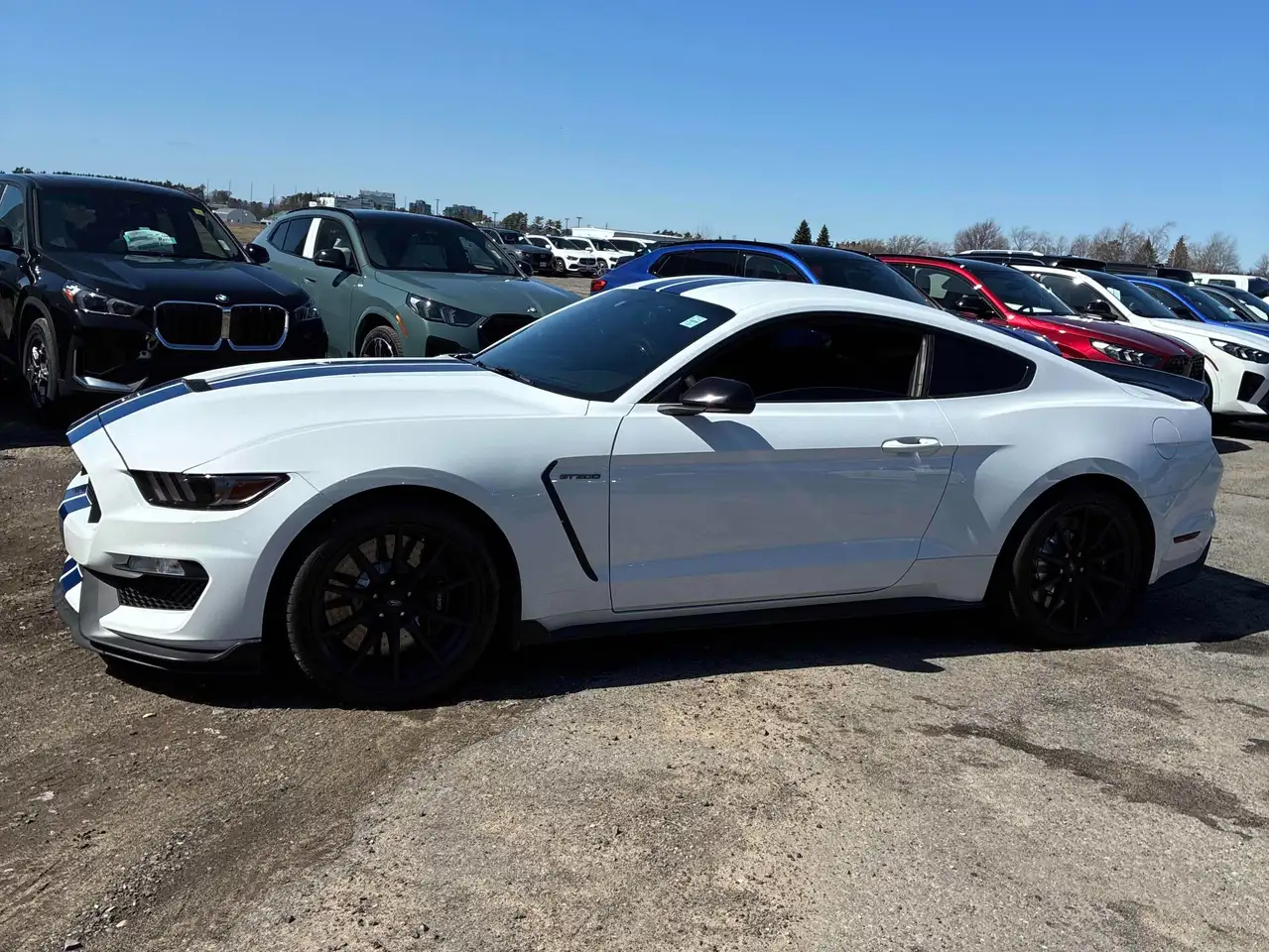 Ford Mustang снимка Ford Mustang