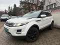 Land Rover Range Rover Evoque Pure 2,2 eD4 Weiß - thumbnail 3