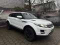 Land Rover Range Rover Evoque Pure 2,2 eD4 Weiß - thumbnail 10