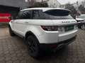Land Rover Range Rover Evoque Pure 2,2 eD4 Weiß - thumbnail 6