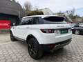 Land Rover Range Rover Evoque Pure 2,2 eD4 Weiß - thumbnail 6