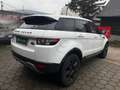 Land Rover Range Rover Evoque Pure 2,2 eD4 Weiß - thumbnail 8