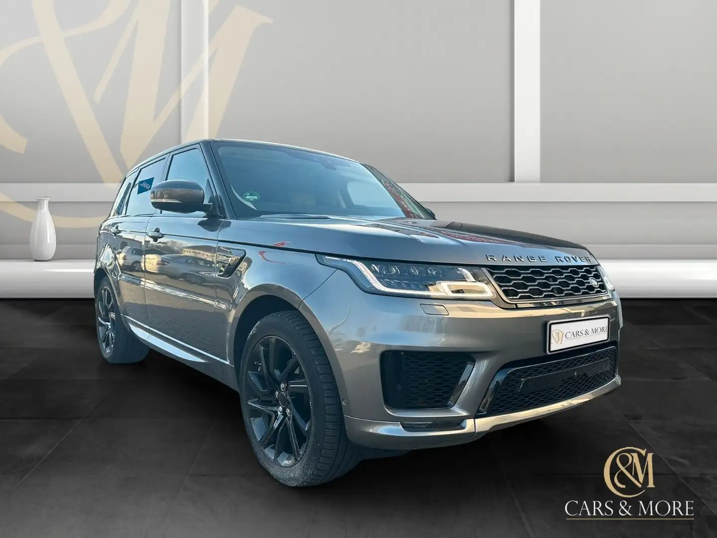Land Rover Range Rover Sport HSE Dynamic Leder Navi Pano.SH Grau - 1