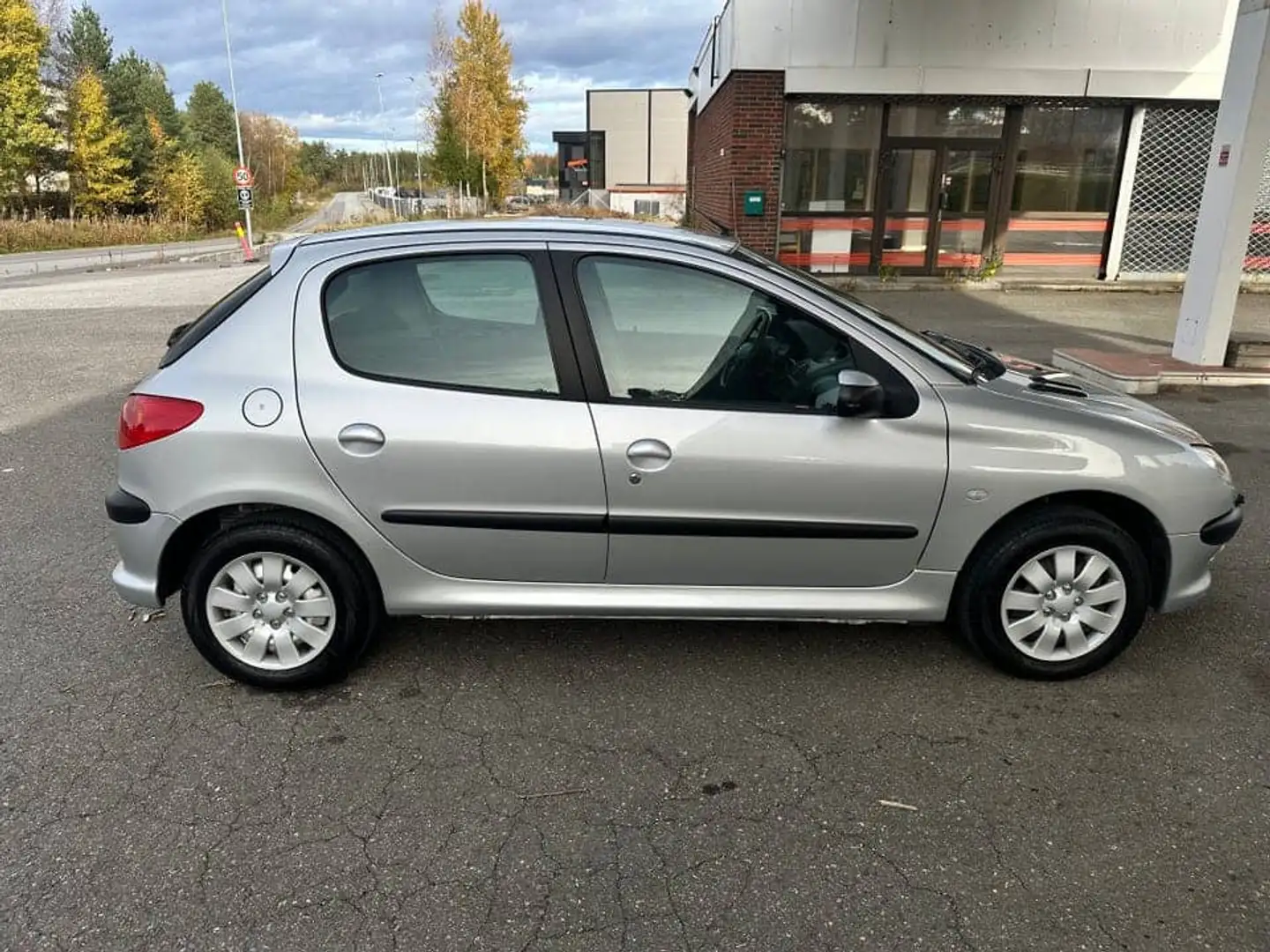 Peugeot 206 Gris - 2