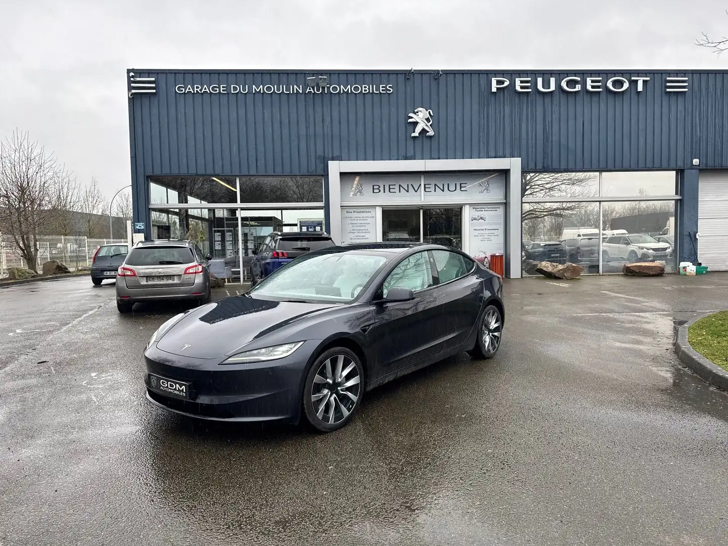 Tesla Model 3 LONG-RANGE DUAL MOTOR AWD Gris - 1