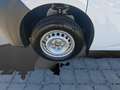 Ford Transit Custom Kasten 2,0 EcoBlue L1H1 280 Basis Weiß - thumbnail 9