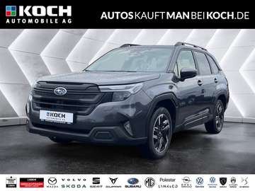 2.0ie Exclusive 4x4 CAM SH ACC PDC LED