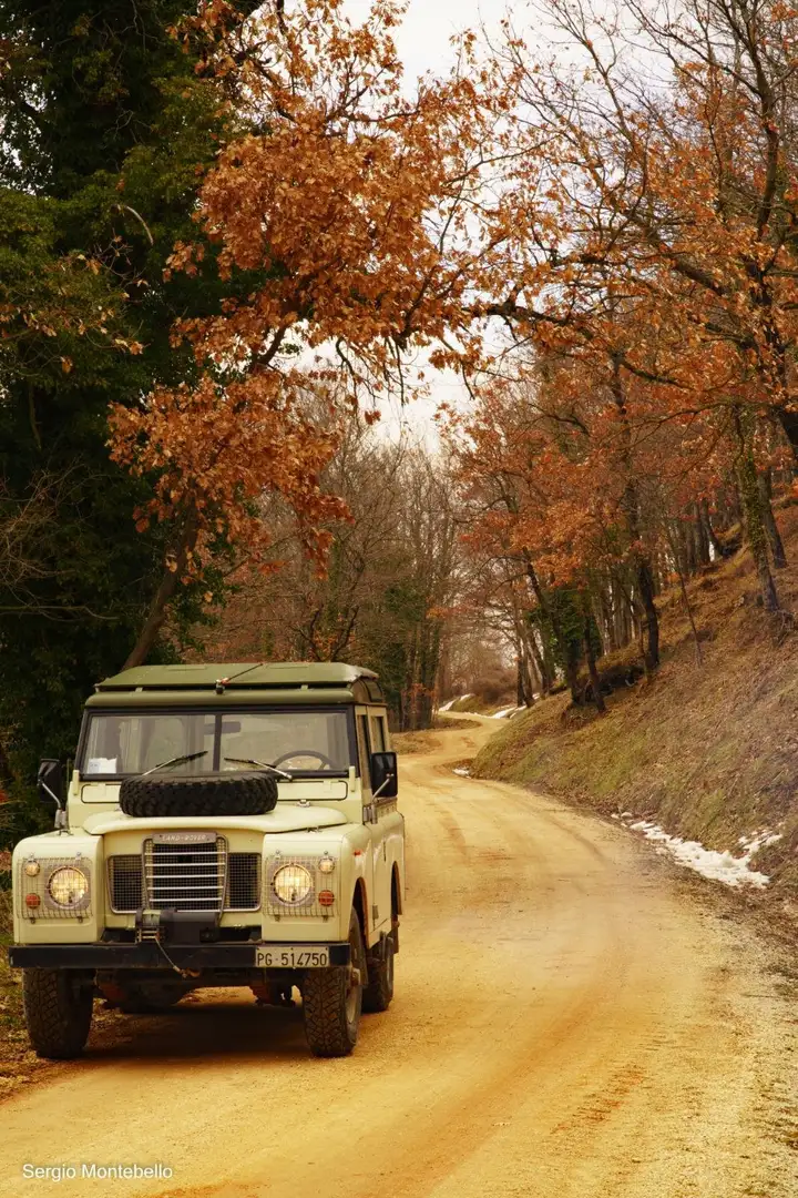 Land Rover Series Beige - 1