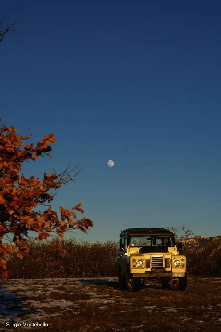 Land Rover Series Beige - 2