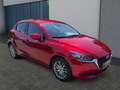 Mazda 2 SKYACTIV-G 90 M Hybrid AL-KIZOKU TOU-P2 Rouge - thumbnail 8