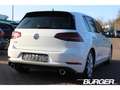 Volkswagen Golf GTI Performance 2.0 LED ACC Winterpaket Digitales Cock Blanco - thumbnail 5