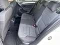 Volkswagen Golf 1.6 TDI 110 CV DSG 5p. Comfortline BlueMotion Tech Bianco - thumbnail 12