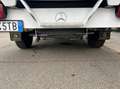 Mercedes-Benz Sprinter 314 2.1 cdi F 43L 35 rwd tetto alto Business E6 Blanc - thumbnail 10
