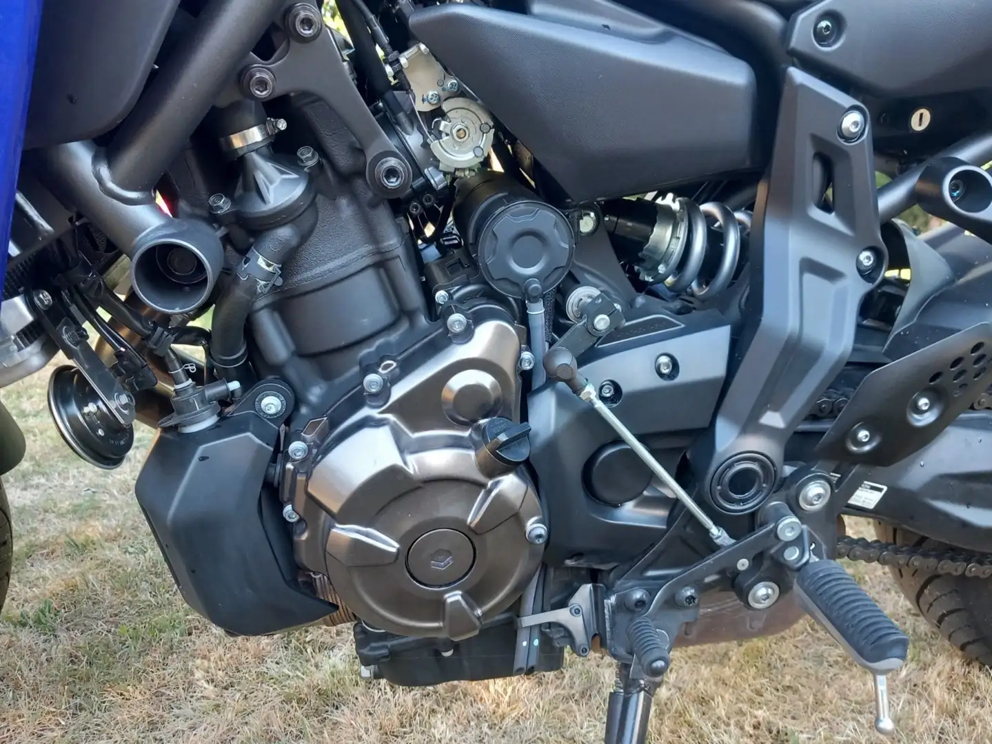 Yamaha Tracer 7 Bleu - 2