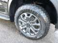 Ford Ranger 3.0 Wildtrak 360°Kamera el. Rollo AHK B&O Schwarz - thumbnail 5