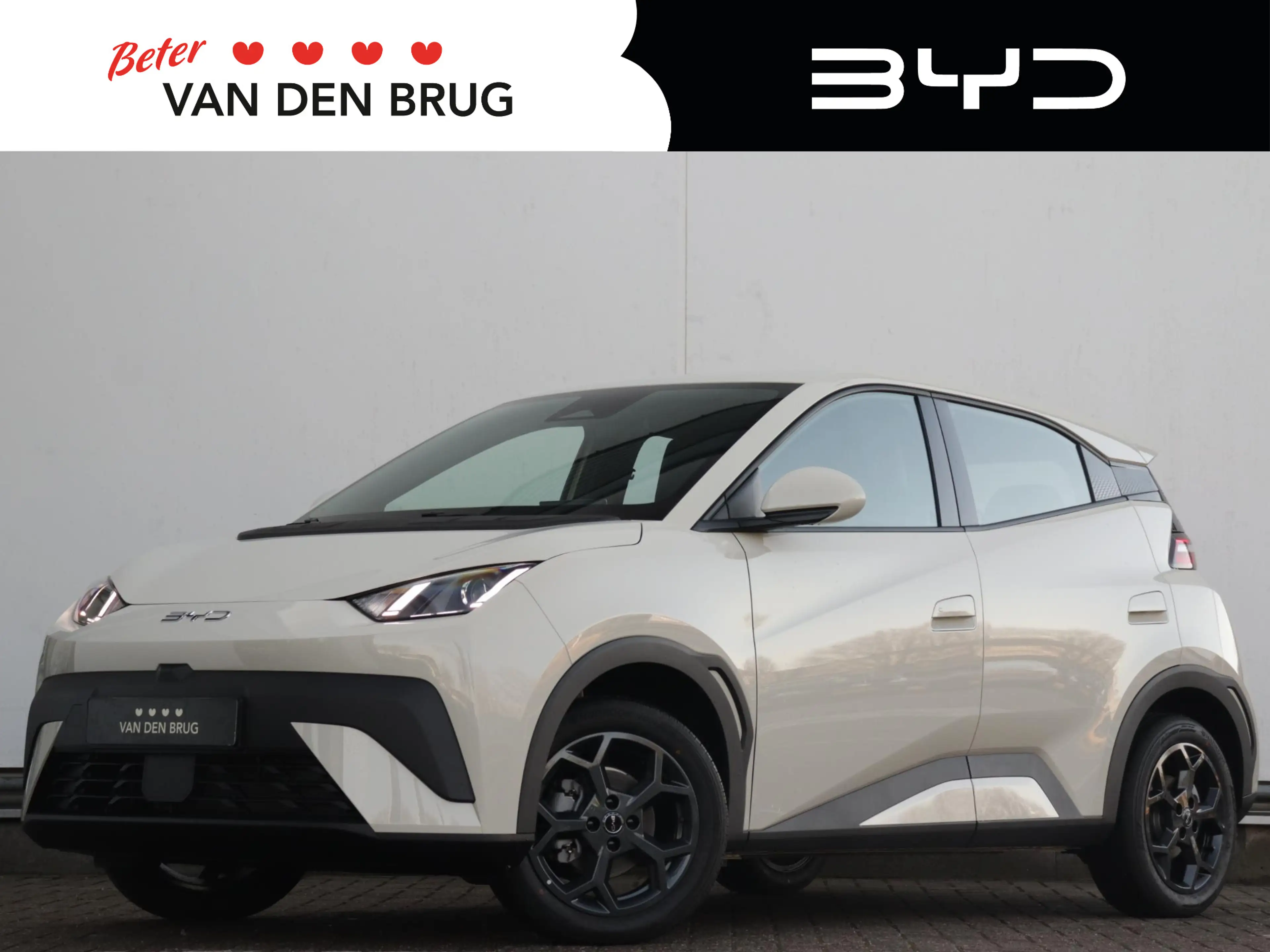 BYD Dolphin Surf Comfort 43 kWh | Wordt verwacht | 310km WLTP | 360