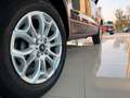 Ford EcoSport 1.5 TDCi 100 CV S&S Plus Grigio - thumbnail 3