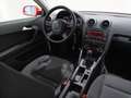 Audi A3 1.6TDI Ambiente Rood - thumbnail 13