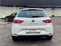 SEAT Leon Style  1,2 TSI Start-Stopp Weiß - thumbnail 6