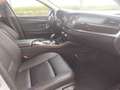 BMW 520 d Autom. Touring F11 *Leder*Navi*Xenon*HuD* Silber - thumbnail 13