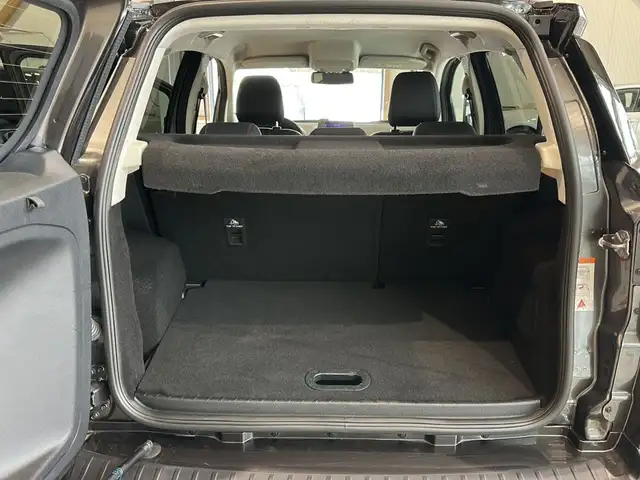 Ford Ecosport view 17