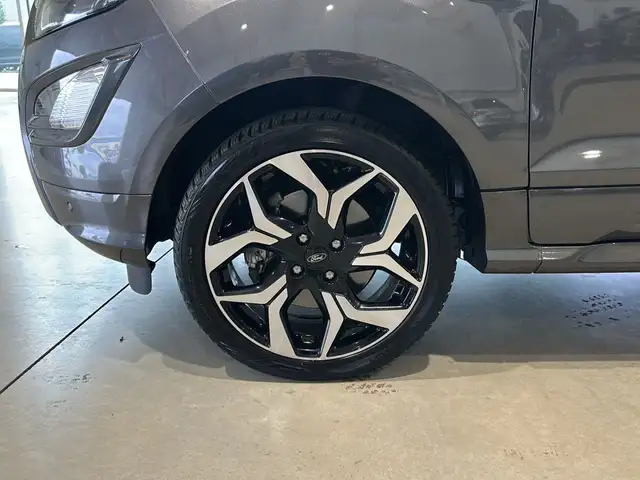 Ford Ecosport view 18
