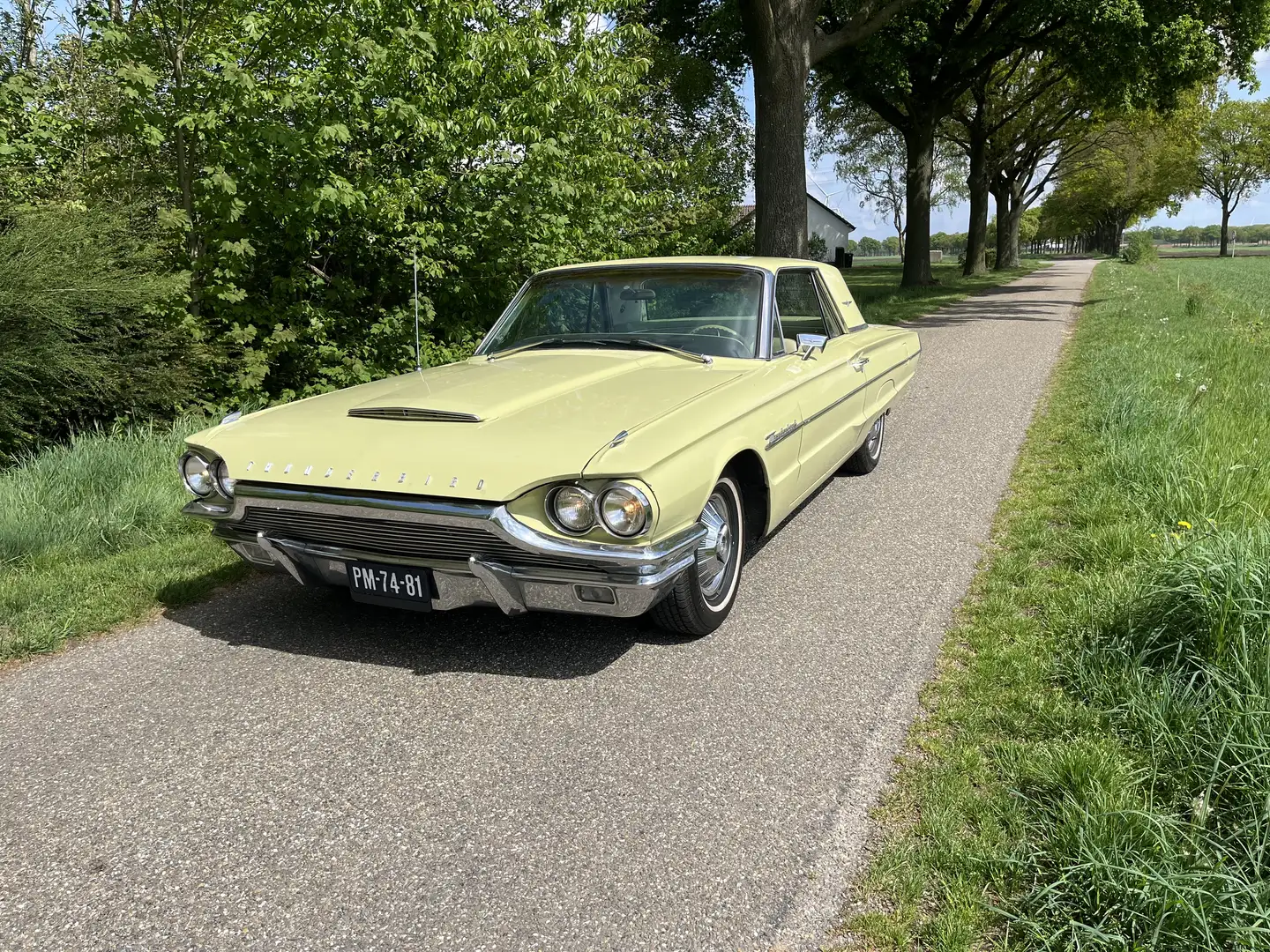 Ford Thunderbird 6.4 liter v8 390 cid - 1