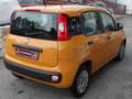 Fiat Panda 1.3 mjt  ..5 POSTI..QUALSIASI PROVA Oranj - thumbnail 4