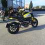 Ducati Scrambler 800 Icon - thumbnail 3