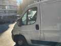 Fiat Ducato Ch.Cb.33 2.3Mjt LPEGR Corto 95kW Weiß - thumbnail 5