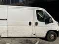 Fiat Ducato Ch.Cb.33 2.3Mjt LPEGR Corto 95kW Weiß - thumbnail 9