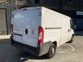 Fiat Ducato Ch.Cb.33 2.3Mjt LPEGR Corto 95kW Weiß - thumbnail 8