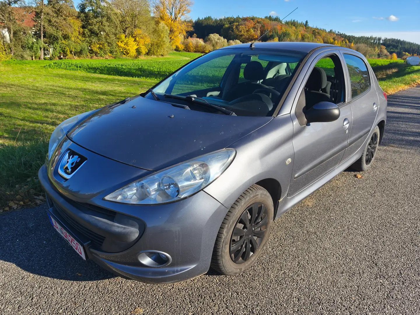 Peugeot 206 206+ Gris - 1
