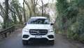 Mercedes-Benz GLS 350 d Premium 4matic auto X167 Bianco - thumbnail 2